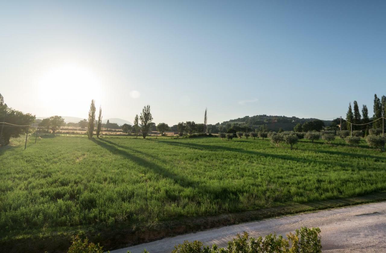Bed & Breakfast Al Pian D'Assisi Bagian luar foto