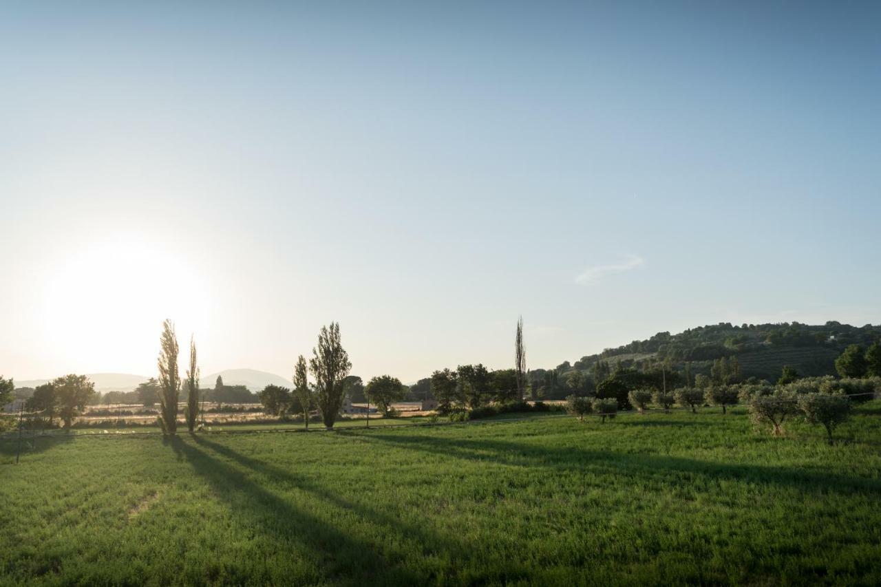 Bed & Breakfast Al Pian D'Assisi Bagian luar foto