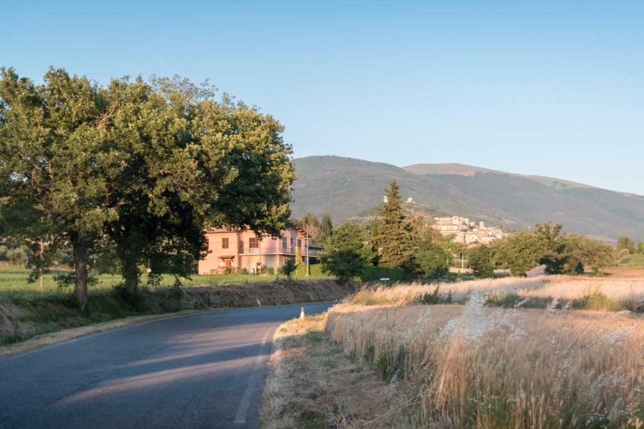 Bed & Breakfast Al Pian D'Assisi Bagian luar foto