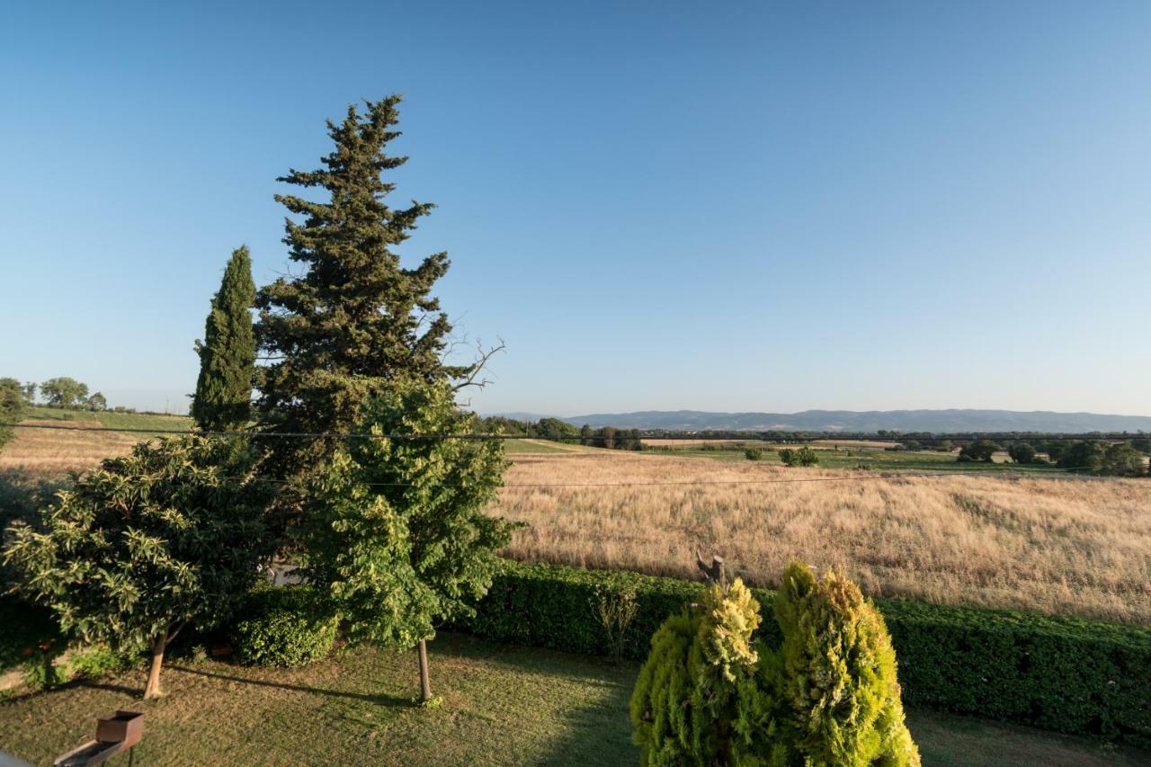 Bed & Breakfast Al Pian D'Assisi Bagian luar foto