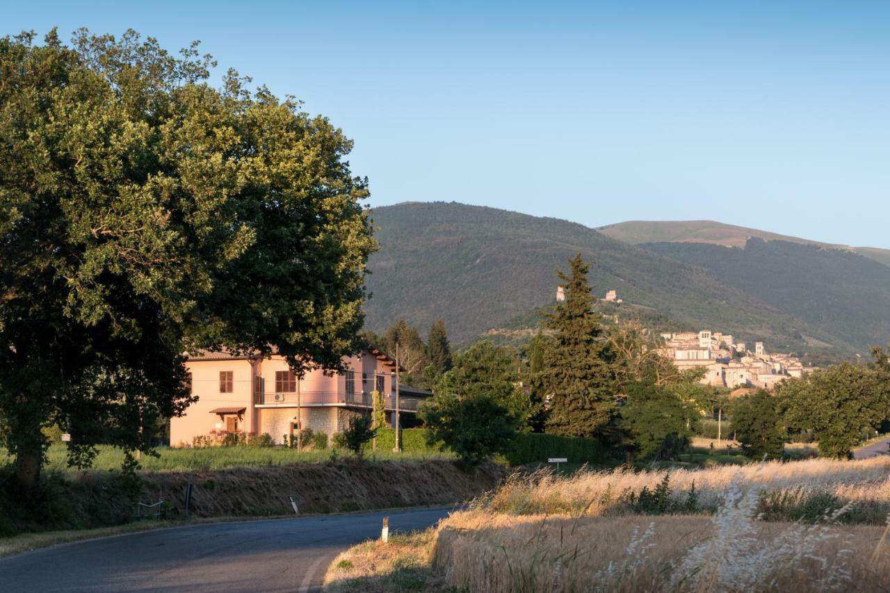 Bed & Breakfast Al Pian D'Assisi Bagian luar foto
